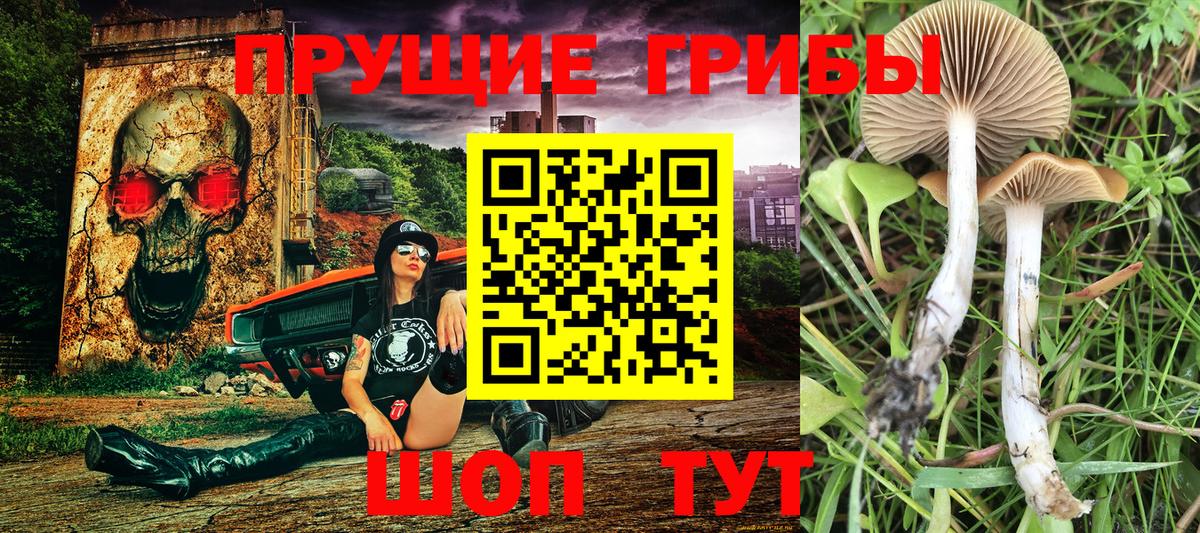 Галлюциногенные грибы мухоморы  Галлюциногенные грибы Psilocybe  Мурманск  Вход с VPN 